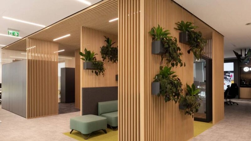 Jakie kwiaty do biura wybrać? Praktyczny poradnik